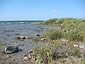Western Michigan [2010] 829